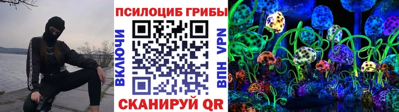 цена наркотик  Полярные Зори  Псилоцибиновые грибы мухоморы 